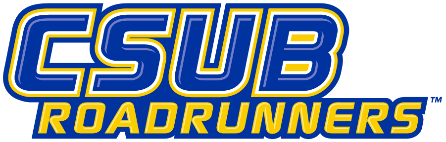 CSU Bakersfield Roadrunners 2006-2019 Wordmark Logo diy iron on heat transfer
